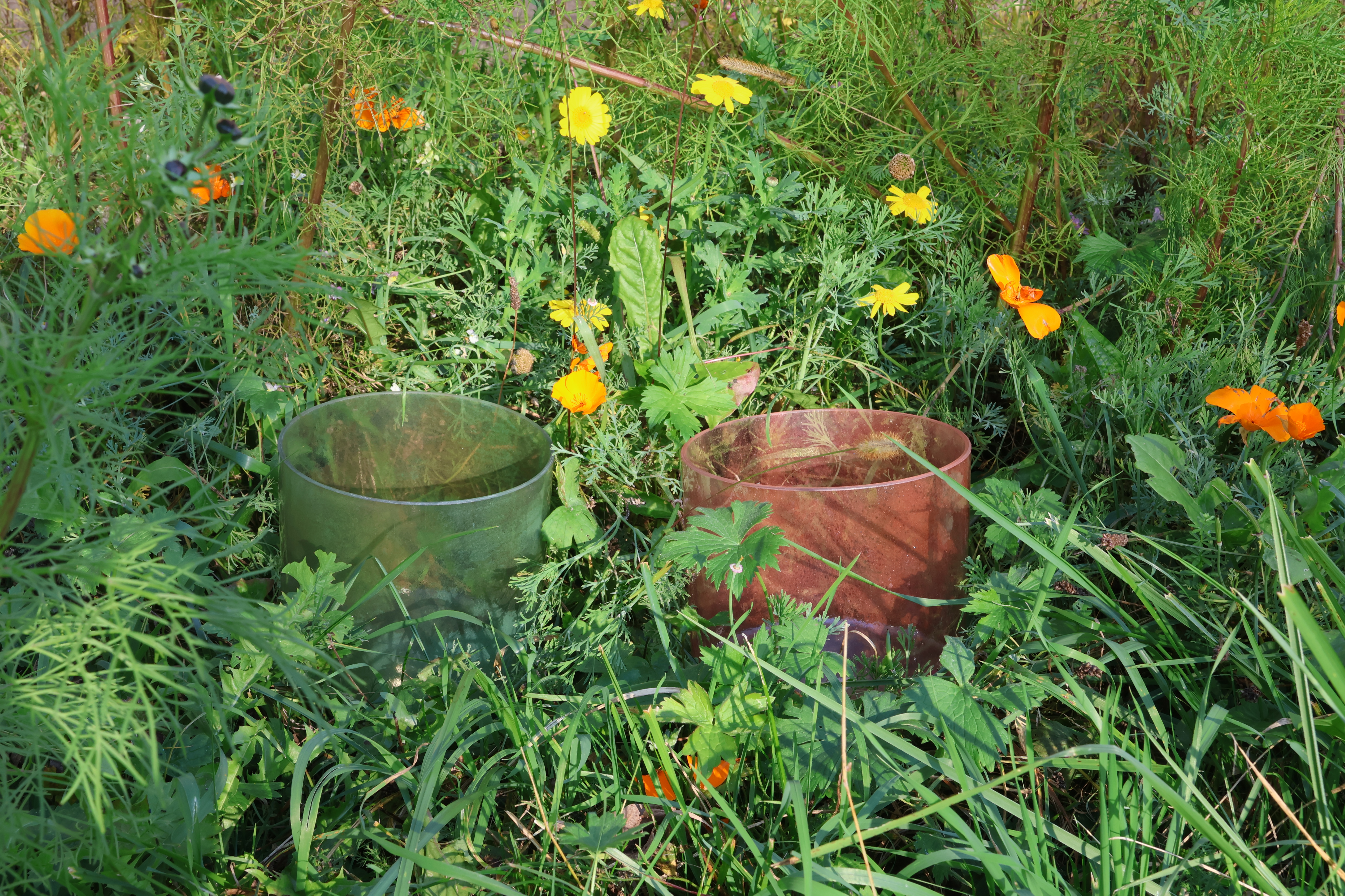 YogaHarfeKristallklang